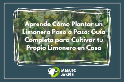 Aprende Cómo Plantar un Limonero ✅ Pasos y Tips para Cultivar tu Propio Limonero en Menudo Jardín